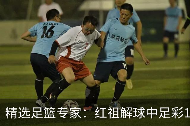 精选足篮专家：红祖解球中足彩13万 杨超擒11万